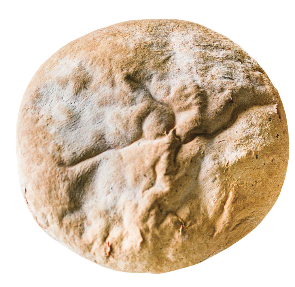 VOJVOĐANSKI DOMAĆI HLEB